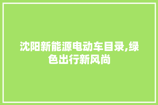 沈阳新能源电动车目录,绿色出行新风尚