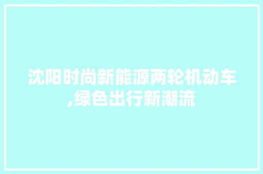 沈阳时尚新能源两轮机动车,绿色出行新潮流