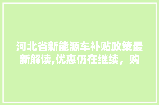 河北省新能源车补贴政策最新解读,优惠仍在继续，购车时机不容错过