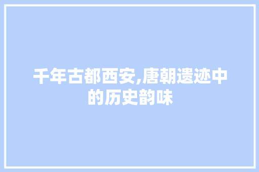 千年古都西安,唐朝遗迹中的历史韵味  第1张