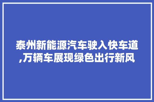 泰州新能源汽车驶入快车道,万辆车展现绿色出行新风尚