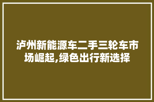 泸州新能源车二手三轮车市场崛起,绿色出行新选择