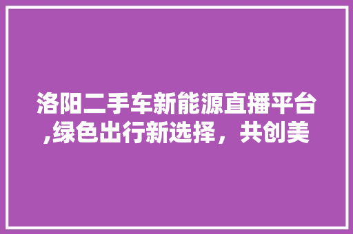 洛阳二手车新能源直播平台,绿色出行新选择，共创美好未来