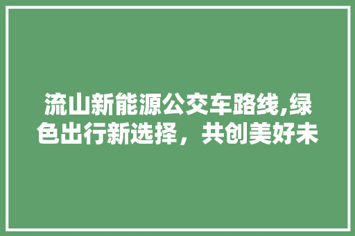 流山新能源公交车路线,绿色出行新选择，共创美好未来