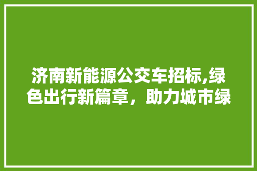 济南新能源公交车招标,绿色出行新篇章，助力城市绿色发展