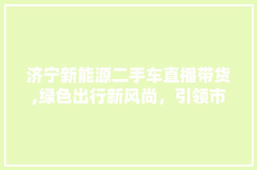 济宁新能源二手车直播带货,绿色出行新风尚，引领市场潮流