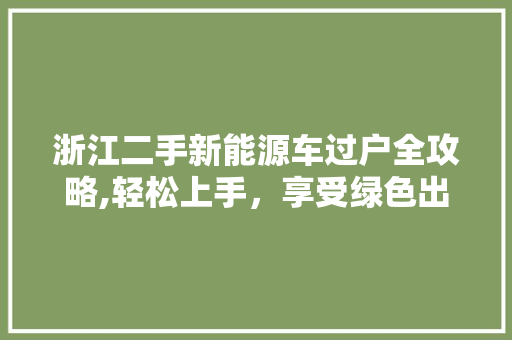 浙江二手新能源车过户全攻略,轻松上手，享受绿色出行