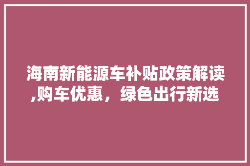 海南新能源车补贴政策解读,购车优惠，绿色出行新选择