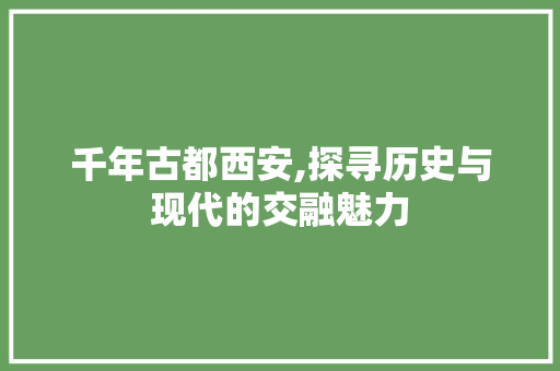 千年古都西安,探寻历史与现代的交融魅力