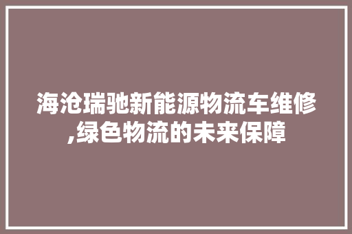 海沧瑞驰新能源物流车维修,绿色物流的未来保障