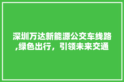 深圳万达新能源公交车线路,绿色出行，引领未来交通潮流