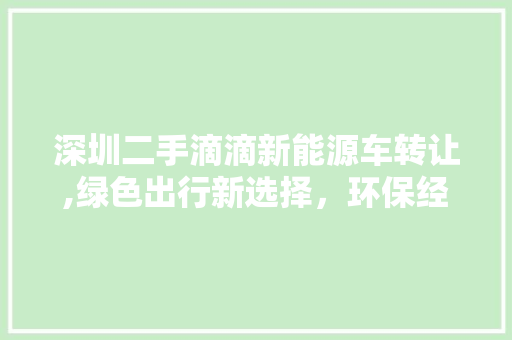 深圳二手滴滴新能源车转让,绿色出行新选择，环保经济双赢