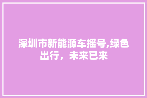 深圳市新能源车摇号,绿色出行，未来已来