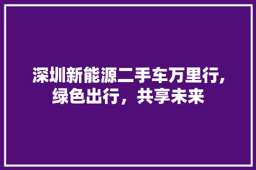 深圳新能源二手车万里行,绿色出行，共享未来