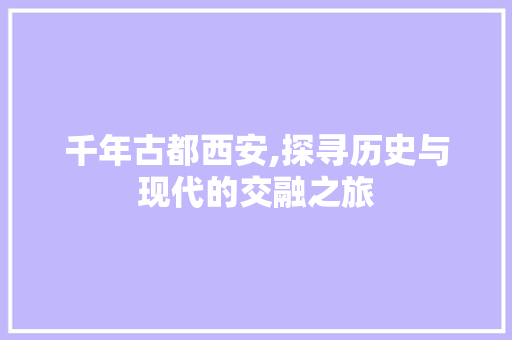 千年古都西安,探寻历史与现代的交融之旅