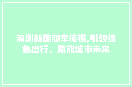 深圳新能源车传祺,引领绿色出行，赋能城市未来