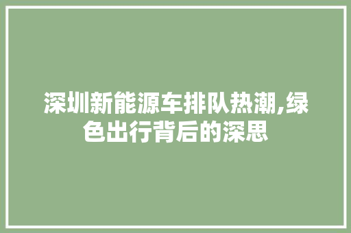 深圳新能源车排队热潮,绿色出行背后的深思