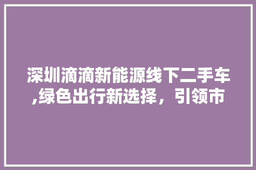 深圳滴滴新能源线下二手车,绿色出行新选择，引领市场新潮流