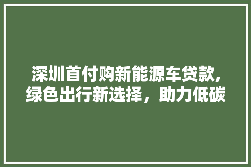 深圳首付购新能源车贷款,绿色出行新选择，助力低碳生活