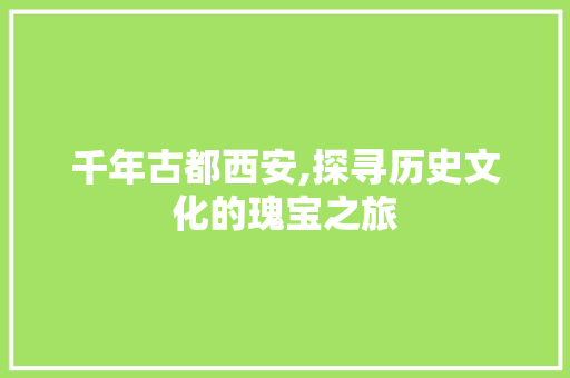 千年古都西安,探寻历史文化的瑰宝之旅