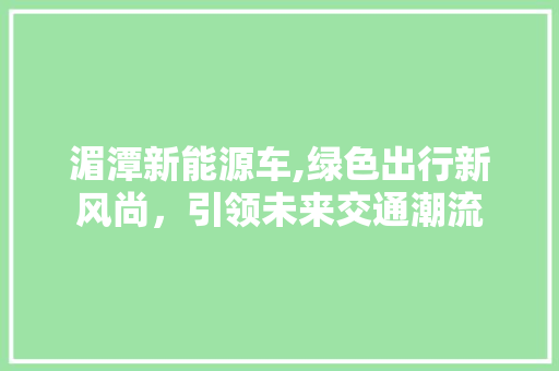 湄潭新能源车,绿色出行新风尚，引领未来交通潮流