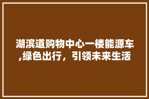 湖滨道购物中心一楼能源车,绿色出行，引领未来生活潮流