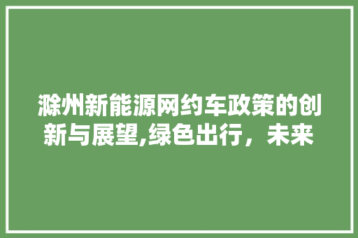 滁州新能源网约车政策的创新与展望,绿色出行，未来已来