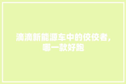 滴滴新能源车中的佼佼者,哪一款好跑