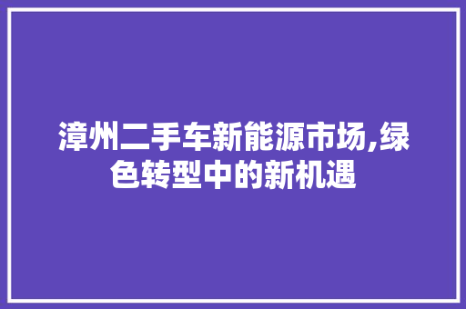 漳州二手车新能源市场,绿色转型中的新机遇