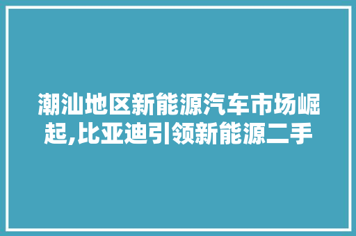 潮汕地区新能源汽车市场崛起,比亚迪引领新能源二手车潮流