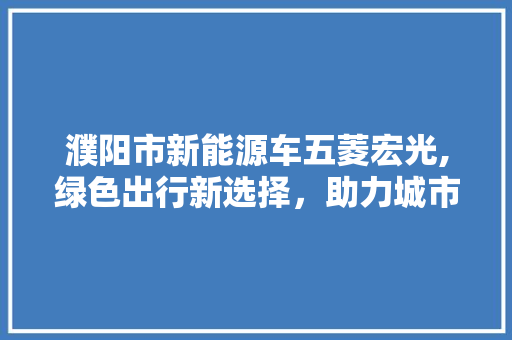 濮阳市新能源车五菱宏光,绿色出行新选择，助力城市绿色发展