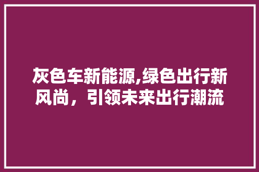 灰色车新能源,绿色出行新风尚，引领未来出行潮流