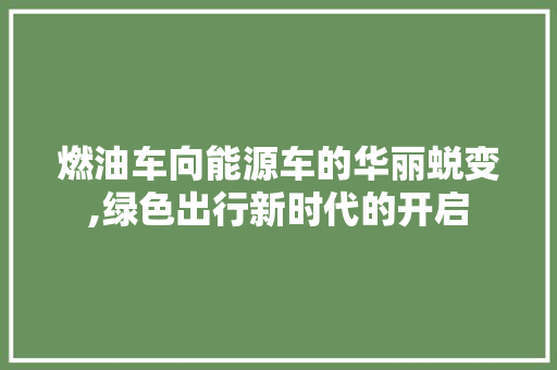 燃油车向能源车的华丽蜕变,绿色出行新时代的开启