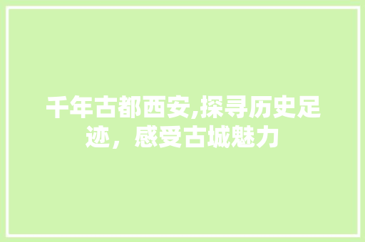 千年古都西安,探寻历史足迹，感受古城魅力