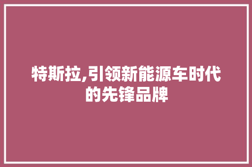 特斯拉,引领新能源车时代的先锋品牌