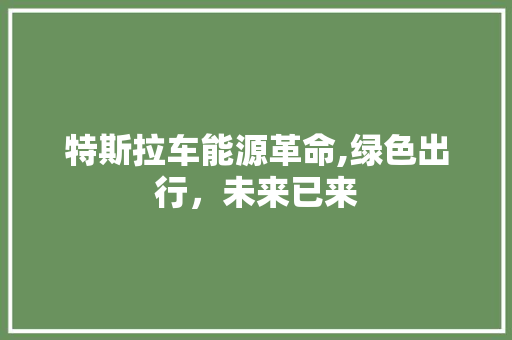 特斯拉车能源革命,绿色出行，未来已来  第1张