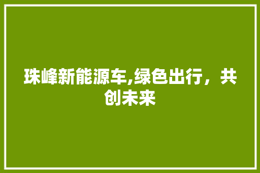 珠峰新能源车,绿色出行，共创未来