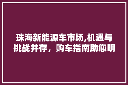 珠海新能源车市场,机遇与挑战并存，购车指南助您明智选择