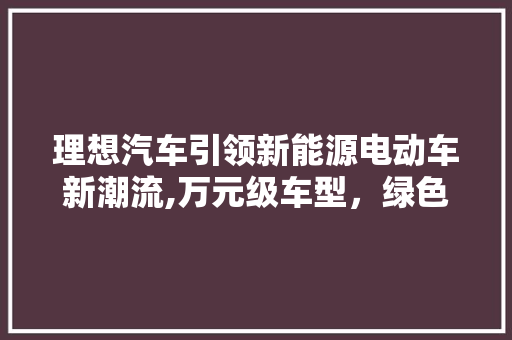 理想汽车引领新能源电动车新潮流,万元级车型，绿色出行不再遥不可及