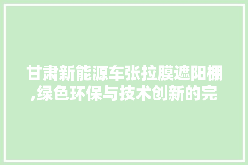 甘肃新能源车张拉膜遮阳棚,绿色环保与技术创新的完美融合