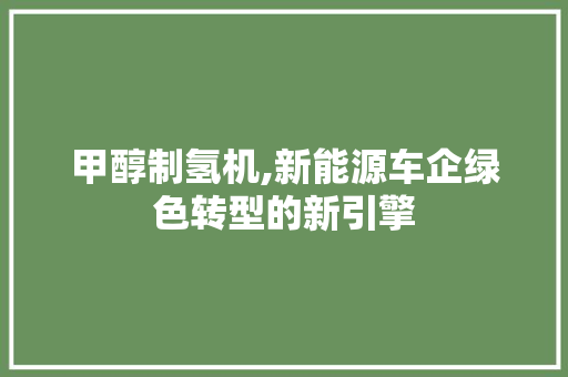 甲醇制氢机,新能源车企绿色转型的新引擎