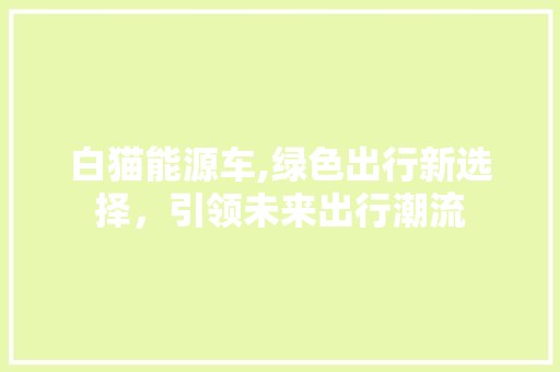 白猫能源车,绿色出行新选择，引领未来出行潮流