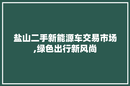 盐山二手新能源车交易市场,绿色出行新风尚