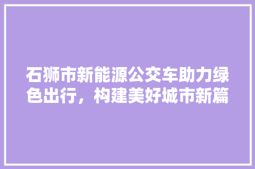 石狮市新能源公交车助力绿色出行，构建美好城市新篇章