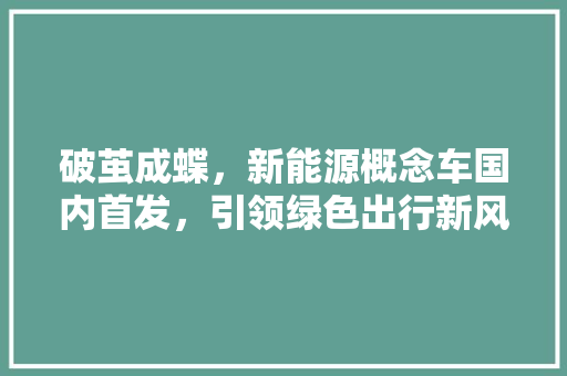 破茧成蝶，新能源概念车国内首发，引领绿色出行新风尚