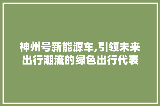 神州号新能源车,引领未来出行潮流的绿色出行代表