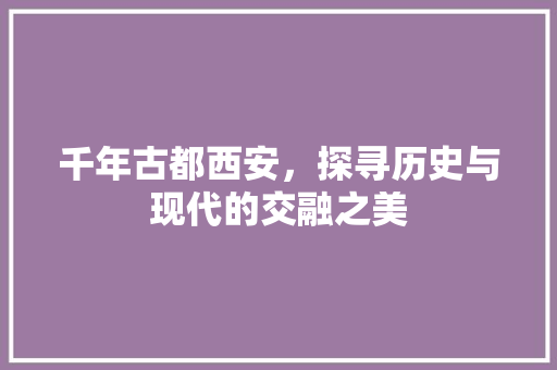 千年古都西安，探寻历史与现代的交融之美