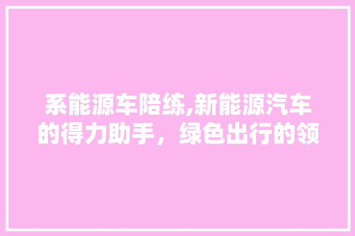 系能源车陪练,新能源汽车的得力助手，绿色出行的领航者