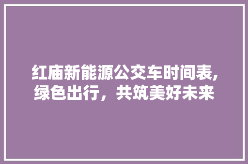 红庙新能源公交车时间表,绿色出行，共筑美好未来