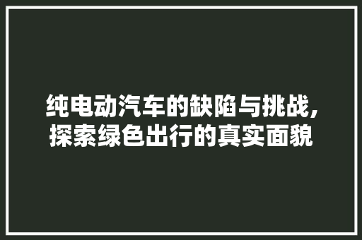 纯电动汽车的缺陷与挑战,探索绿色出行的真实面貌